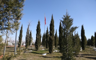 /PARKLAR/15 TEMMUZ ŞEHİTLERİ HATIRA ORMANI/1s8a1680.JPG