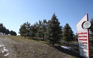 /PARKLAR/23 NİSAN HATIRA ORMANI/1s8a1796.JPG