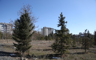 /PARKLAR/17 ŞUBAT ŞEHİTLERİ HATIRA ORMANI/1s8a1811.JPG