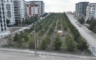 /PARKLAR/ZEKİ ALASYA HATIRA ORMANI/dji_0134.JPG
