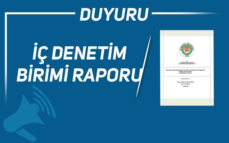 İÇ DENETİM BİRİMİ RAPORU