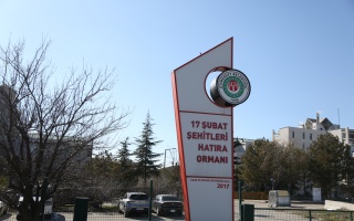/PARKLAR/17 ŞUBAT ŞEHİTLERİ HATIRA ORMANI/1s8a1802.JPG