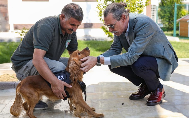 ATAMASI YAPILAN İLK CAN DOSTU "ALEX"