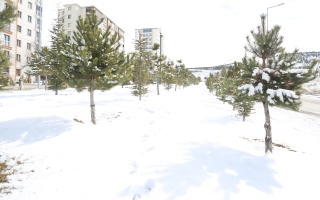 /PARKLAR/HOCALI PARKI/1s8a0042.JPG