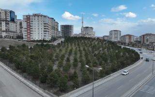 /PARKLAR/AZİZ SANCAR HATIRA ORMANI/dji_0774.JPG