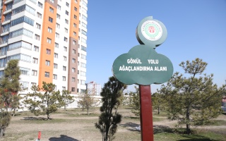 /PARKLAR/GÖNÜL YOLU AĞAÇLANDIRMA ALANI/1s8a1318.JPG