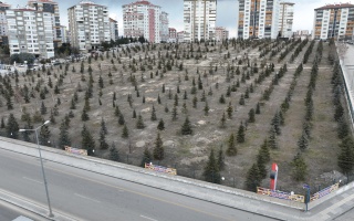 /PARKLAR/AZİZ SANCAR HATIRA ORMANI/dji_0772.JPG