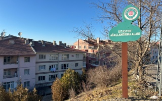/PARKLAR/İSTASYON AĞAÇLANDIRMA ALANI/whatsapp-image-2025-03-05-at-104110.jpeg