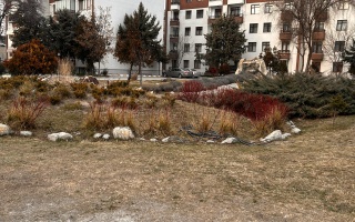 /PARKLAR/HUZUR PARKI/whatsapp-image-2025-02-11-at-180621.jpeg