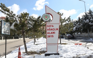 /PARKLAR/SEFA AĞAÇLIK ALANI/1s8a0490.JPG
