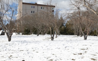 /PARKLAR/ŞAHİN PARKI/1s8a0383.JPG