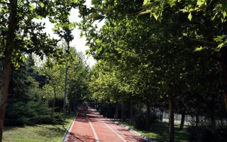 /PARKLAR/ŞEHİT ÖZKAN BİNGÖL KOŞUYOLU/16012019110054ozkanbingolparki-2.jpeg