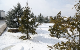 /PARKLAR/ŞEHİT ASTSUBAY SEÇKİN ÇİL AĞAÇLANDIRMA ALANI/1s8a0143.JPG