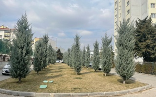 /PARKLAR/ŞEHİT NEVZAT CEYHAN PARKI/whatsapp-image-2025-02-28-at-140458-1.jpeg