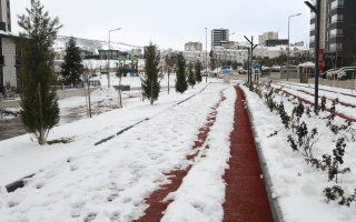/PARKLAR/PEÇENEKLİ SÜLEYMAN PARKI/1s8a0651.JPG