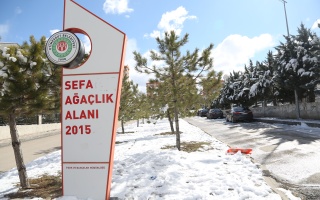 /PARKLAR/SEFA AĞAÇLIK ALANI/1s8a0496.JPG