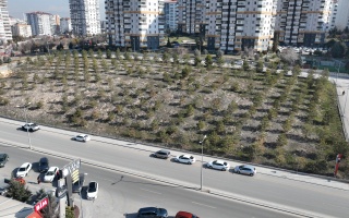 /PARKLAR/FIRAT YILMAZ ÇAKIROĞLU HATIRA ORMANI/dji_0736.JPG