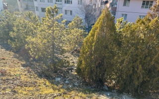 /PARKLAR/İSTASYON AĞAÇLANDIRMA ALANI/whatsapp-image-2025-03-05-at-104114.jpeg