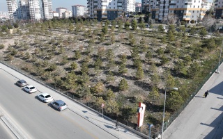/PARKLAR/FIRAT YILMAZ ÇAKIROĞLU HATIRA ORMANI/dji_0734.JPG