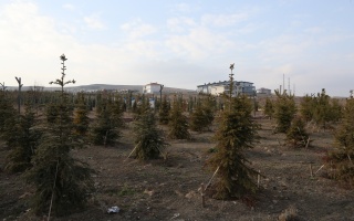 /PARKLAR/ŞEHİT ÖĞRETMEN AYBÜKE YALÇIN HATIRA ORMANI/aybuke-yalcin-hatira-ormani_-6.JPG