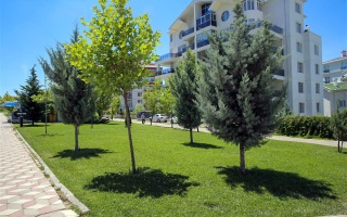 /PARKLAR/MERVE PARKI/16012019164929merve-1jprg.jpg