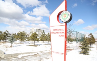 /PARKLAR/HARMANDALI AĞAÇLANDIRMA ALANI/1s8a0421.JPG