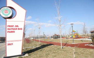 /PARKLAR/PROF. DR. HAYDAR BAŞ PARKI/1s8a2086.JPG