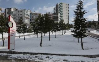 /PARKLAR/KARTOPU PARKI/1s8a0219.JPG