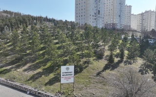 /PARKLAR/ŞEHİT YÜZBAŞI MURAT ÜÇÖZ HATIRA ORMANI/dji_0768.JPG