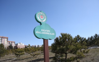 /PARKLAR/KOCATEPE AĞAÇLANDIRMA ALANI/1s8a1725.JPG