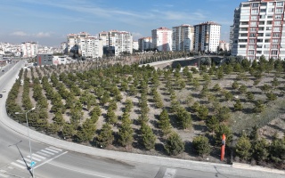 /PARKLAR/OKTAY SİNANOĞLU HATIRA ORMANI/dji_0744.JPG