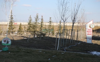 /PARKLAR/FARUK ÖZDEMİR HATIRA ORMANI/1s8a2104.JPG