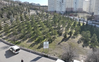 /PARKLAR/ŞEHİT YÜZBAŞI MURAT ÜÇÖZ HATIRA ORMANI/dji_0769.JPG