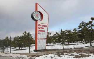 /PARKLAR/GÜN SAZAK HATIRA ORMANI/1s8a0347.JPG