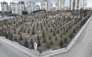 /PARKLAR/AZİZ SANCAR HATIRA ORMANI/dji_0773.JPG