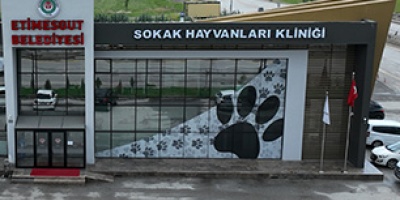 Sokak Hayvanları Kliniği