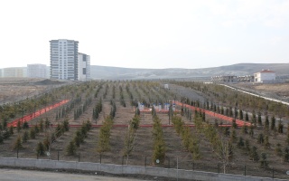 /PARKLAR/ŞEHİT ÖĞRETMEN AYBÜKE YALÇIN HATIRA ORMANI/aybuke-yalcin-hatira-ormani_-1.JPG