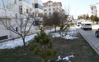 /PARKLAR/GÜLPEMBE PARKI/1s8a1382.JPG