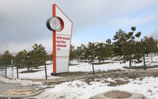 /PARKLAR/GÜN SAZAK HATIRA ORMANI/1s8a0344.JPG