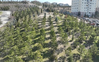 /PARKLAR/ŞEHİT YÜZBAŞI MURAT ÜÇÖZ HATIRA ORMANI/dji_0770.JPG