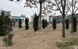/PARKLAR/OVA PARKI/ova-3.jpeg