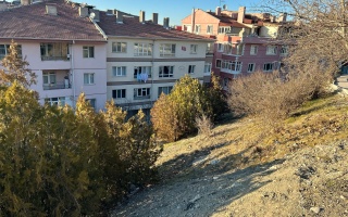 /PARKLAR/İSTASYON AĞAÇLANDIRMA ALANI/whatsapp-image-2025-03-05-at-104112.jpeg