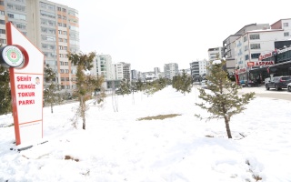 /PARKLAR/ŞEHİT CENGİZ TOKUR PARKI/1s8a0137.JPG