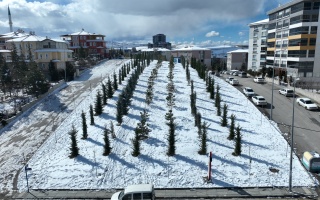 /PARKLAR/MADEN ÇALIŞANLARI PARKI/dji_0928.JPG