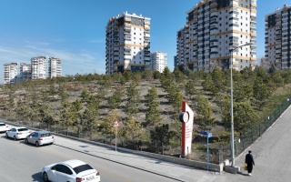/PARKLAR/FIRAT YILMAZ ÇAKIROĞLU HATIRA ORMANI/dji_0733.JPG