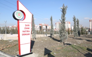 /PARKLAR/ŞAİR ZİHNİ PARKI/1s8a1473.JPG