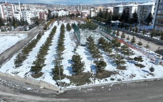 /PARKLAR/HARMANDALI AĞAÇLANDIRMA ALANI/dji_0918.JPG