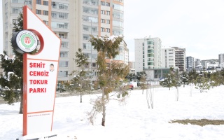 /PARKLAR/ŞEHİT CENGİZ TOKUR PARKI/1s8a0134.JPG